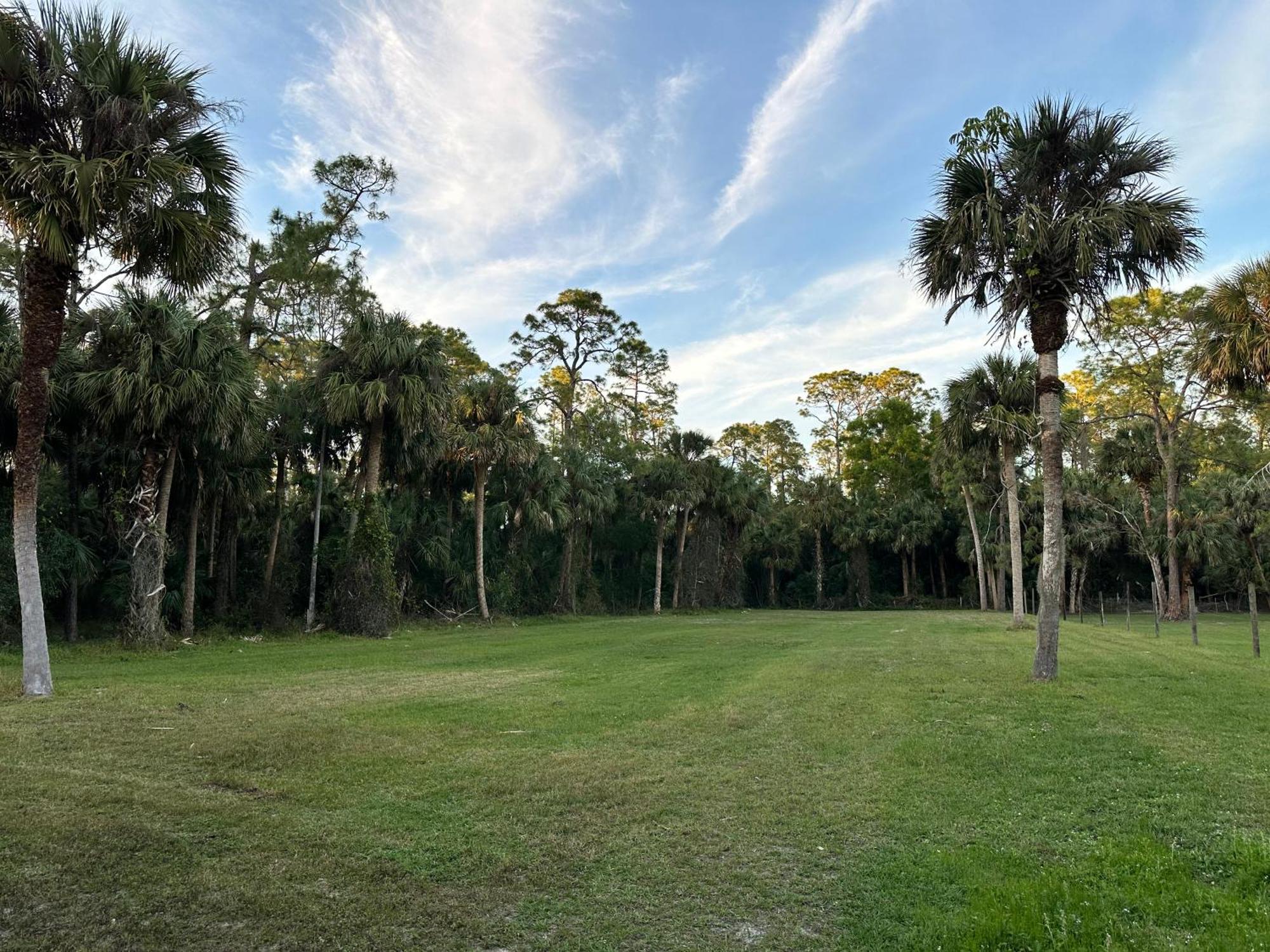 Vacation Pool Home In The Woods. North North Naples 外观 照片